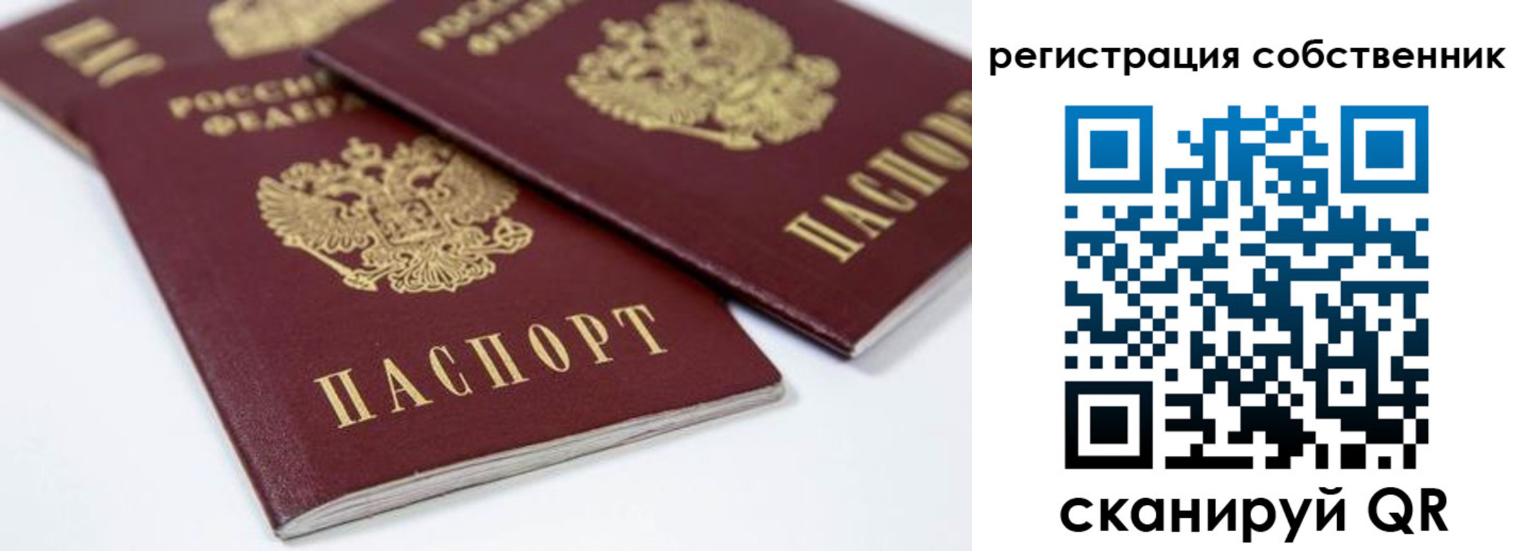 прописка для школы в Гаврилов-Яме